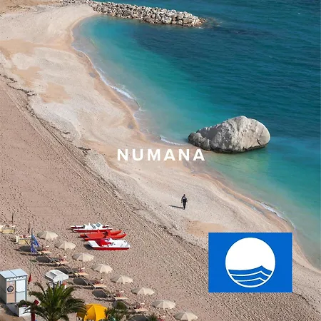 La Cameranense By Homes In Ancona דירה *
